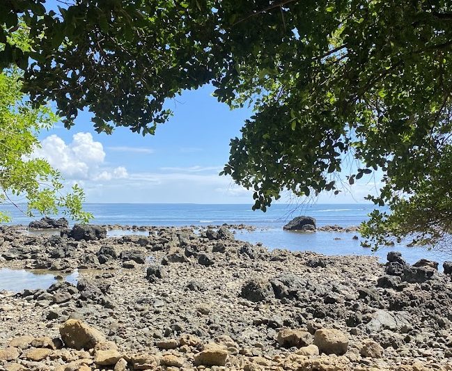 Já posso voltar,&nbsp;Boipeba?